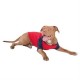 Tee-shirt pour chien   manche   3/4