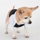 Tee-shirt pour chien   manche   3/4