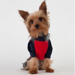 Tee-shirt pour chien   manche   3/4